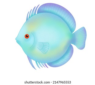 331 Discus fish drawing Images, Stock Photos & Vectors | Shutterstock