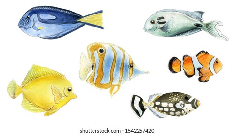 Tropical Fish Isolated Watercolor Stock Illustration 1542257420