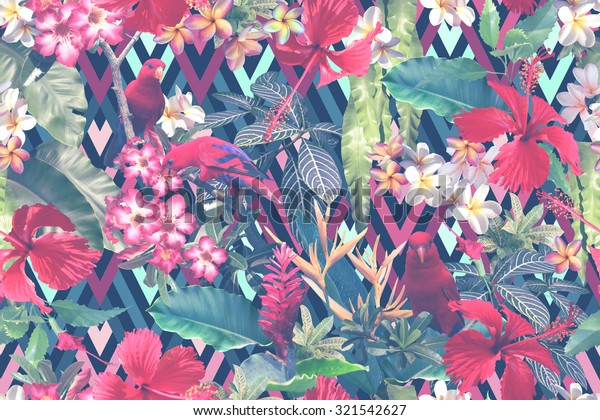 Illustration De Stock De Motif Tropical Floral Sur Fond Noir