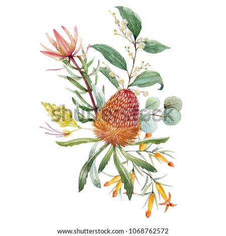 Tropical floral print, orange bangsia flowers, eucalyptus leaves, protea  leaves, floral print

