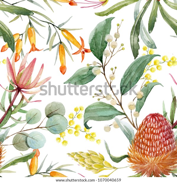 熱帯の花柄 オレンジのバンシアの花 ユーカリの葉 プロテアの葉 咲くミモサ 熱帯の壁紙 のイラスト素材