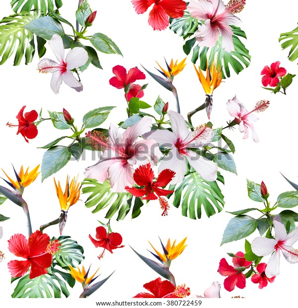 熱帯の花柄 クリップアート フォトコラージュ シームレスな模様のリアルな熱帯の花 のイラスト素材