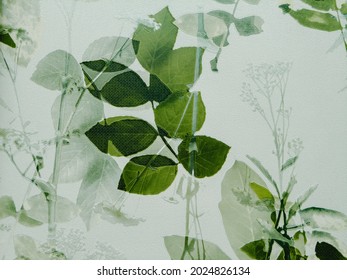 Tropical Green Leaves Wallpaper Nature Background Stock Illustration