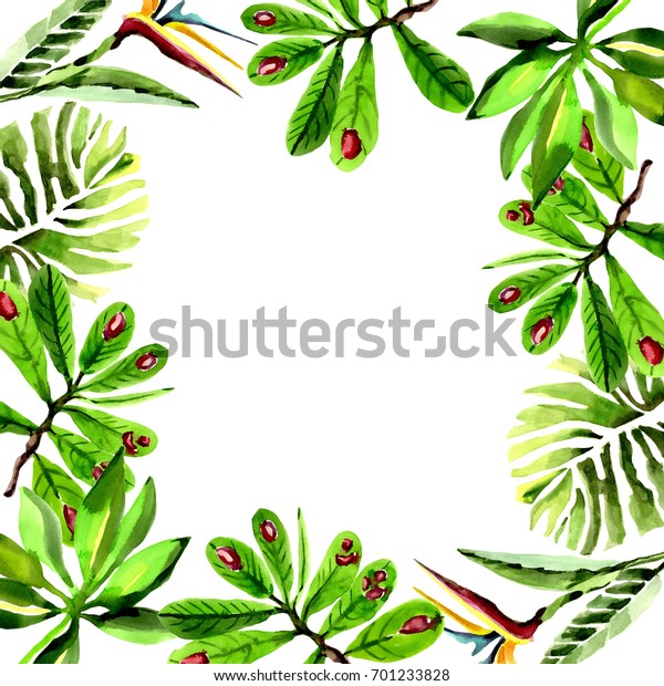 熱帯ハワイはヤシの木の枠を水色にして残す 背景 テクスチャー ラッパーパターン フレームまたは縁取り用のアクアレルの野花 のイラスト素材