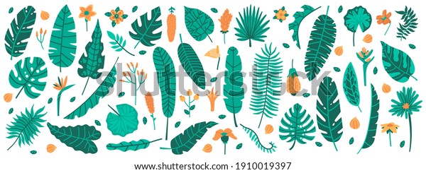 Tropical jungle leaves. Exotic plants, leaves and\
flowers, banana, palm, plumeria and hibiscus leaves. Jungle floral \
illustration set. Foliage plumeria and hibiscus plant, exotic\
floral