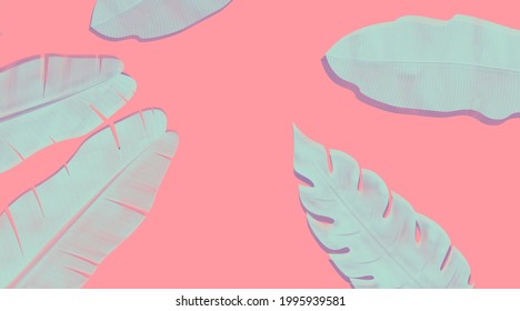 Tropical Leaf Aesthetic Background. This Background Can Use For Desktop 