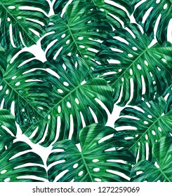Tropical leaf design featuring green monstera plant leaves on a white background. Seamless vector repeating pattern. 