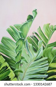 tropical leaves, banana leaves, green tropic, oil painting, tree branches, summer, botanic. pink backround. green leaves 