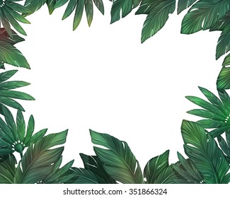 Tropical Leaves Jungle Frame White Background Stock Illustration ...