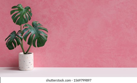 29,408 Monstera houseplant Images, Stock Photos & Vectors | Shutterstock