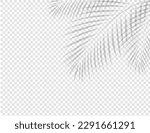 Tropical Leaves Shadow Border Mockup And Transparent Background 
