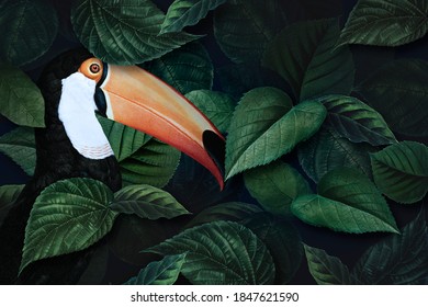 Tropical Macaw On A Leafy Background