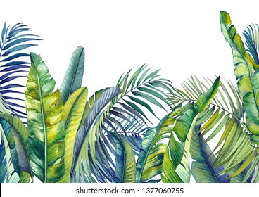 Tropical palm and banana leaves. Jungle wallpaper. Isolated watercolor background. 
