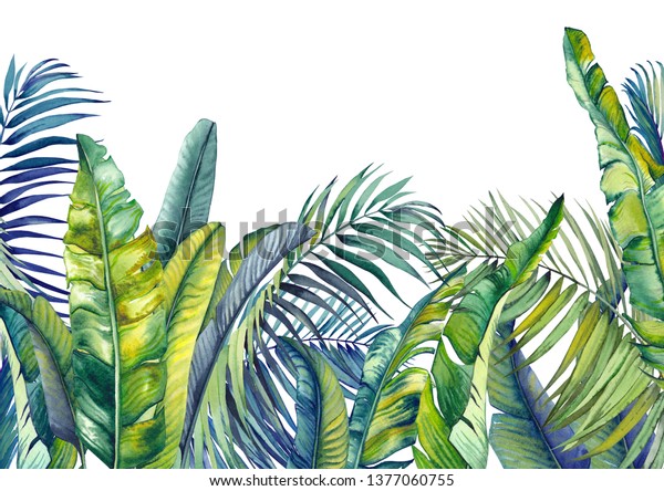 Tropical palm and banana leaves. Jungle wallpaper. Isolated watercolor background. 