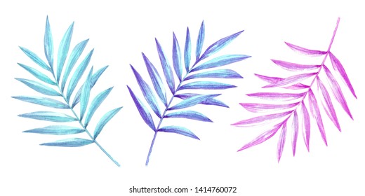 Tropical palm leaves collection.Pink,blue and green exotic leaves isolated on white background. Tropical neon night party plant set. Watercolor illustration