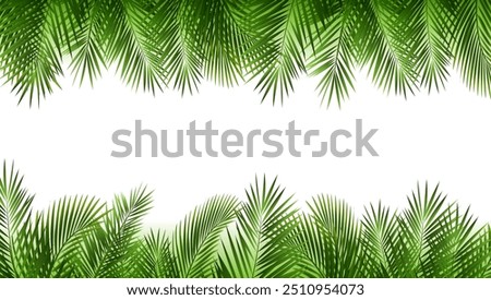 Tropical Palm Tree Borde rIsolated And White Bachground 