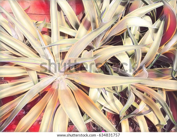 Tropical Plant Sunny Flowerbed Evergreen Bush Stock Illustration