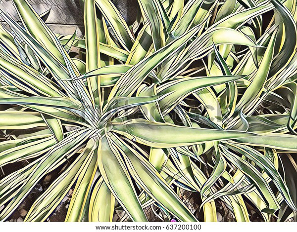 Tropical Plant Sunny Flowerbed Evergreen Bush Stock Illustration