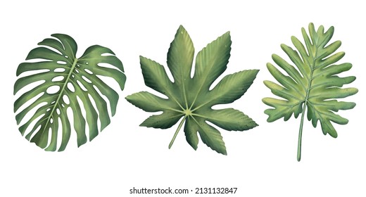 Tropical Set Of Plants On A White Background. Watercolor Hand Painted, Summer Clipart, Palm Leaves