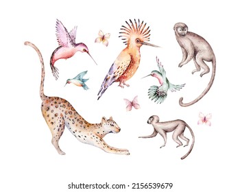 Tropical watercolor birds hummingbird, monkey and jaguar, exotic jungle plants leaves flowers, flamingo pastel color seamless fabric background.