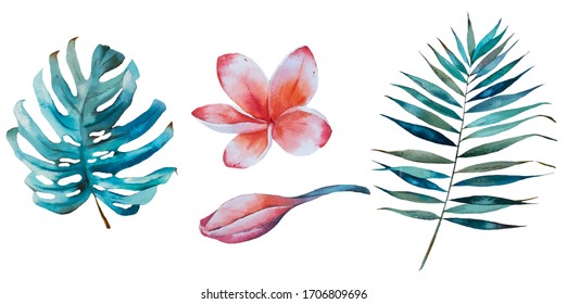 Tropical Watercolor Set With Tropical Leaves And Flowers.