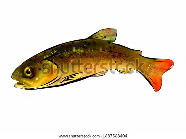 マス 魚 デジタル絵画 動物 緑の魚 カラーイラスト アート 自然 食べ物 のイラスト素材 1687568404