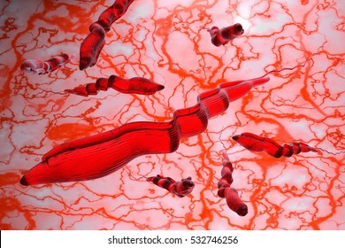 Trypanosoma brucei parasite that causes nagana disease 3D illustration  