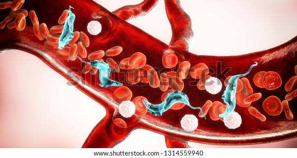 血中トリパノソーマ クルージ寄生虫 3dイラスト トリアトミンバグの咬傷によってヒトに伝播するシャーガス病を引き起こす原生動物 のイラスト素材