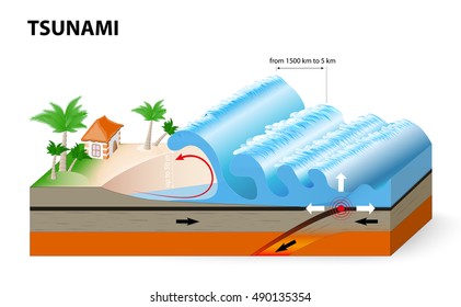 https://image.shutterstock.com/image-illustration/tsunamis-generated-by-submarine-earthquakes-260nw-490135354.jpg