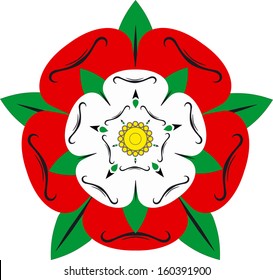 Tudor rose - Illustration
