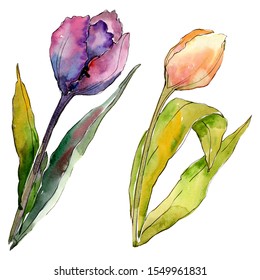 Watercolor Illustration Botanical Art Fresh Spring Stock Illustration ...