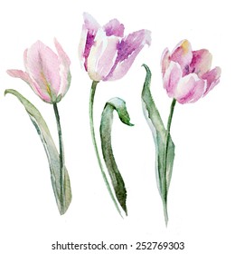 64,826 Tulip watercolor Images, Stock Photos & Vectors | Shutterstock