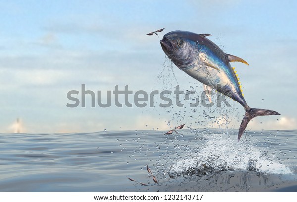 Tuna fish jumping to catch flying fishes in ocean\
3d Render