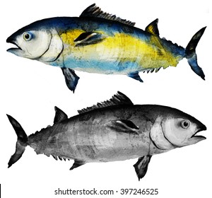 tuna fish watercolor