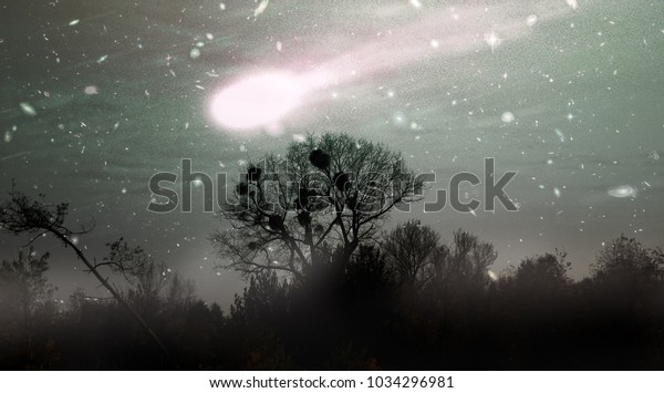 ツングスカ隕石 シベリア隕石 驚くべき恐ろしい彗星 彗星は飢饉 戦争 荒廃を招いた Nasaが提供するレトロな写真のエレメント のイラスト素材