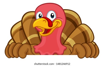 Turkey Thanksgiving or Christmas bird animal cartoon character peeking over a background sign
