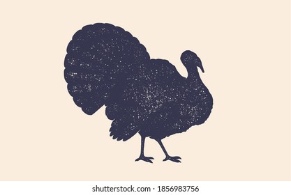 Turkey. Vintage retro print, black white turkey drawing, grunge old school style. Isolated black silhouette turkey on white background. Side view profile. Illustration