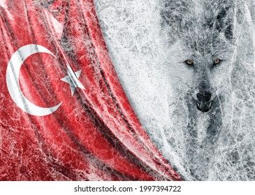 Turkish Flag And Gray Wolf Painting Grunge Background.