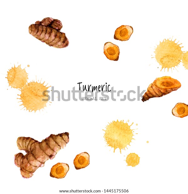 Turmeric Watercolor Background Hand Drawn Illustration Stock