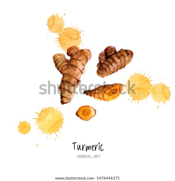 Turmeric Watercolor Background Hand Drawn Illustration Stock