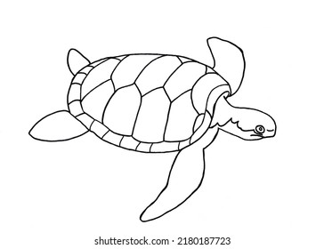 Turtle Coloring Page Children Stock Illustration 2180187723 | Shutterstock