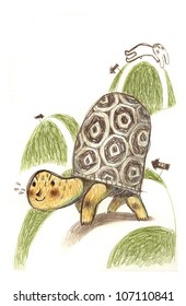 Turtle Hare Race