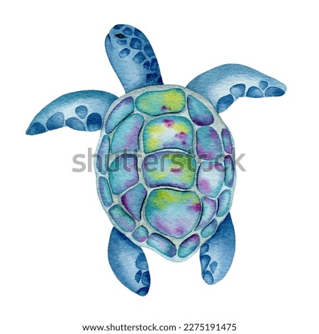 Turtle illustration with bright watercolor paints. 
Sea turtle