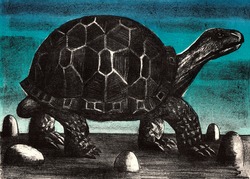 Turtle Image. Lithography (engraving On Stone). A Work Of Art, Handcrafted With High Quality Portrayal.
