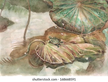 Turtle and lotus leaves hand painted watercolor