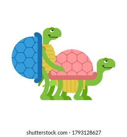Turtle sex. Tortoise intercourse. Reptile isolated. Animal reproduction