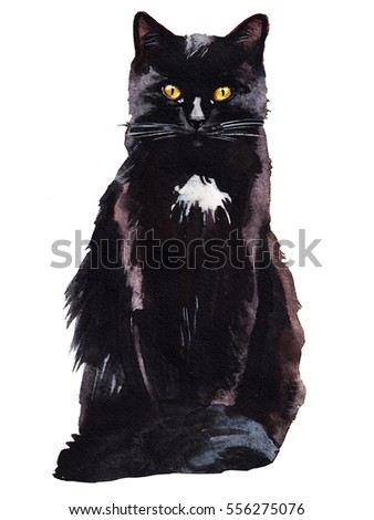 Tuxedo Black and White  Cat Watercolor Painting Isolated. 