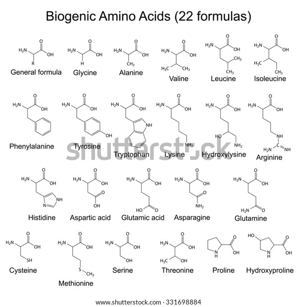 Twenty Two Biogenic Amino Acids Chemical Stock Illustration 331698884