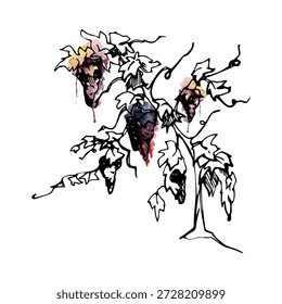 Twisted vineyard tree with expressive branches, Mediterranean character, ripe grape clusters. Hand drawn illustration in watercolor and ink for farm branding, menus, winery premium product labels