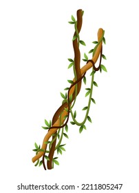 Twisted Wild Lianas Branches Banner. Jungle Vine Plants. Rainforest Flora And Exotic Botany. Woody Natural Branches